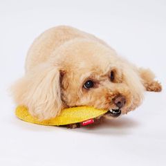 新品 ペティオ (Petio) 犬用おもちゃ へちまレザー デンタルTOY スティック
