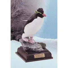 2025年最新】ネイチャーテクニカラー 南極の人気アイテム - メルカリ