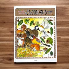 落ち葉でしらべよう　どんぐりのいろいろ