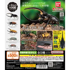 BANDAI いきもの大図鑑 かぶとむし０８