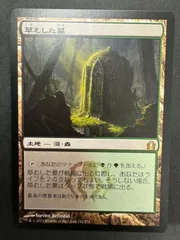 MTG　草むした墓　日本語　ラヴニカへの回帰　RTR　Overgrown Tomb