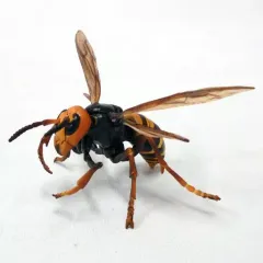 【中古】トレーディングフィギュア オオスズメバチ 「原色日本昆虫図鑑1 改訂増補版」