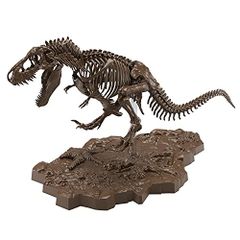 FAVORITE 恐竜 スケルトン 骨格 模型 1/20 ティラノ トリケラ - メルカリ