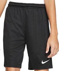 NIKE ナイキ BV6855 サッカー ウェア プラクティスパンツ ブラック S