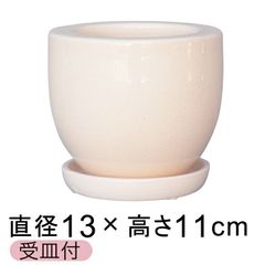 【新品】直径13cm アステアミドル 植木鉢 おしゃれ クリーム フリット釉薬 受皿付 室内 屋内 多肉植物 観葉植物 小さい鉢
