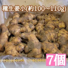 2025年最新】生姜種芋の人気アイテム - メルカリ