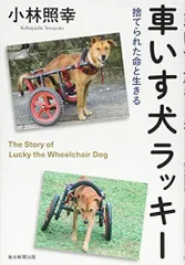 2023年最新】犬 車いすの人気アイテム - メルカリ