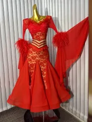 オーダーメイド　社交ダンス衣装　羽根 レース スタンダードドレス