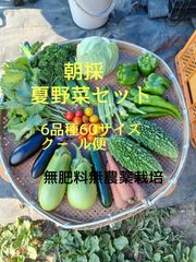 夏の旬野菜セット60サイズ