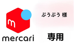 ぷうぷう 様 専用