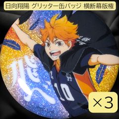 送料無料 24時間以内発送 3点セット 日向翔陽 グリッター 缶