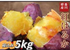 3セット限定❣️100円引きクーポン配布中❣️ 香川県産 さつまいも 紅はるか　　梱包込み5kg  サイズss〜s 北海道沖縄　秋田県より上の方は追加料金が必要❣️