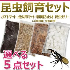 ハスクチップ 徳用32ℓ 爬虫類の床材 微粉末除去済み 8ℓ袋×4個