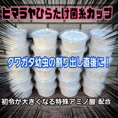 特選！ヒマラヤひらたけ菌糸カップ120ml【4個セット】初令、2令幼虫専用栄養添加剤配合！　オオクワガタ、ニジイロ、ヒラタ、ノコギリに！
