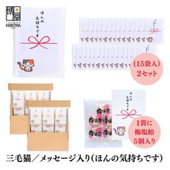博屋 大量 退職 お礼 個包装 お返し 三毛猫「 プチギフト ほんの気持ちです」玉ねぎスープ２包入 x 30パック  挨拶回り 粗品