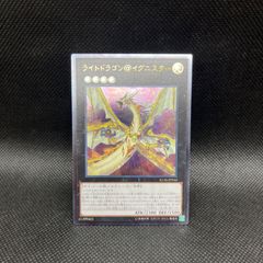 遊戯王 聖域を守護せし光の龍 エクストラシークレットレア 聖域を守護せし光の龍【エクストラシークレット】{WPP6-JP082