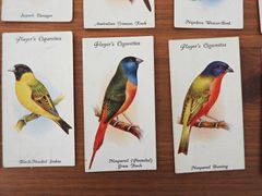 カラフルな鳥さんがいっぱい！1933年「鳥小屋とケージの鳥」シリーズ、50枚フルセット　英国ジョン・プレイヤーのタバコカード