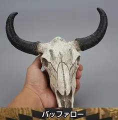 貴重】バッファロースカル本物牛インテリアビッグホーン60cm×60cm