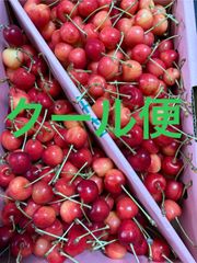 さくらんぼ（紅てまり）Mサイズ 箱込1キロ程度 山形県産