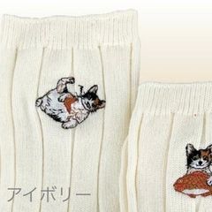 高級靴下 レディース リブ 靴下 猫 おはなし靴下 田中刺繍 子ネコと大きな魚 猫 デザイン 刺繍 リブソックス アイボリー