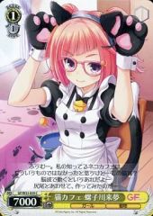 [중고]바이스슈바르츠 GF/W33-039[C]:고양이 카페 나코 카와래 꿈