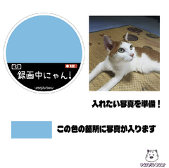 送料無料「Purple Boar」オリジナルセミオーダーメイド　ドラレコ　ドライブレコーダー　防犯カメラ　猫　ステッカー「録画中にゃん！　ステッカー」（約１００ｍｍ×約１００ｍｍ）３枚です🎵
