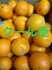 オレンジ 箱込6.5キロ程度 アメリカ産