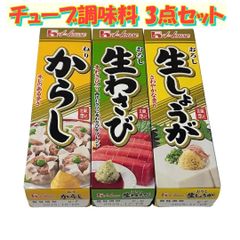 チューブ調味料 3点セット 【ねりからし 43g・おろし生わさび 43g・おろし生しょうが40g】