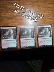MTG 新緑の地下墓地 3枚セット モダンホライゾン2