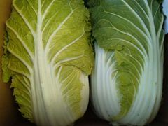 はくさい　2玉　漬物に最適