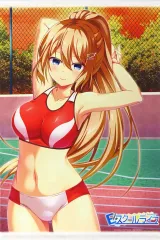 【中古】タペストリー 陣内莉佳子 B2タペストリー 「PS4/Switchソフト Eスクールライフ」 ゲーマーズ購入特典