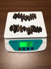 工場直売　関西産　A級品 乾燥赤なまこ  100g20本(計量時100g23本)