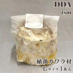 【DDA】植菌カワラ材 Lサイズ 1本入り 加水不要 dda クワガタ 産卵木 クヌギ コナラ カワラ