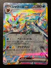 ロケット団の栄光　37p テラスタルフェス　7p 全商品 | 福福トレカ ポケモンカード専門店