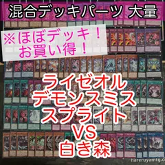 2 白き森 デッキ 40枚+EX15枚 シンクロシルバースリーブ付き 61mapMv0aEL._AC_SY200_QL15_.jpg