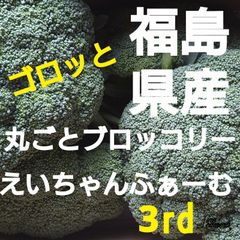 福島県産!ゴロッとブロッコリー(^_^;)です!