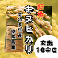 新米 令和5年産 キヌヒカリ  玄米10キロ 淡路島産 産地直送