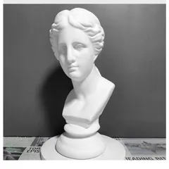 【匿名発送】石膏像 首像 美術 デッサン 彫刻 オブジェ 置物 インテリア Amazon.co.jp: Unlnsiy 石膏像 胸像 人物像 置物 デビッド像
