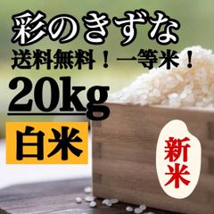 白米　20kg 彩のきずな　新米　埼玉県産　令和4年産　送料無料　米　20キロ