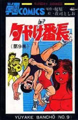 昭和レトロ　サンデーコミック　夕焼け番長　 全巻セット　初版8〜17巻 昭和レトロ サンデーコミック 夕焼け番長 全巻セット 初版8〜17