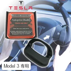 2023年最新】MODEL3の人気アイテム - メルカリ