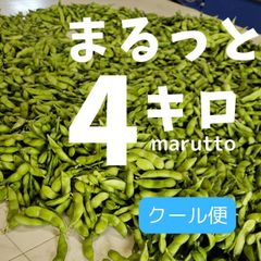初だるま【クール便】枝豆　まるっと全部もぎ☆お得な4キロ(1キロ×4袋)　6/13収穫出荷　大川ファーム　産地直送