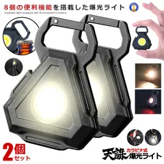 2個セット LEDライト 高輝度 800ルーメン COB 投光器 38g 7種点灯モード USB充電 スタンド 小型 マグネット 栓抜き付き カラビナ TENCHU ゆうパケE