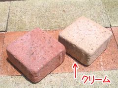 スクラッチコボル　半丁　25個セット　【110-0114-25】