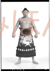 2025年最新】若乃花幹士の人気アイテム - メルカリ