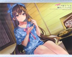 [중고] 태피스트리 [단품] 주방 유키 A3 태피스트리 [라이트 노벨 가끔 보소와 러시아어로 데레하는 옆의 아야 씨 4.5 Summer Stories 토라노아나 한정판] 동봉 특전