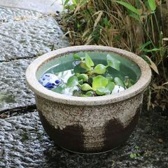 石鉢 水鉢 花器 メダカ鉢 金魚鉢 つくばい 庭石 自然石 - メルカリ