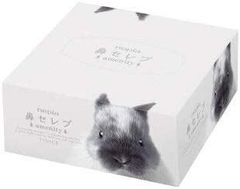 Item thumbnail for item 09fbec50-24ea-44ec-99f2-8bfa45bf23a3