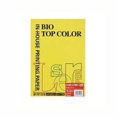 Item thumbnail for item 85d2f29a-7e41-4001-aba1-f74b39d82d07