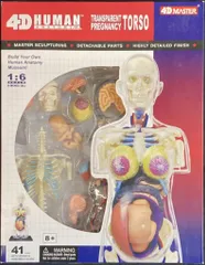 ヒト皮膚解剖モデル　Tedco4Dビジョン【組み立て済完成品】 ヒト皮膚解剖モデル Tedco4Dビジョン【組み立て済完成品